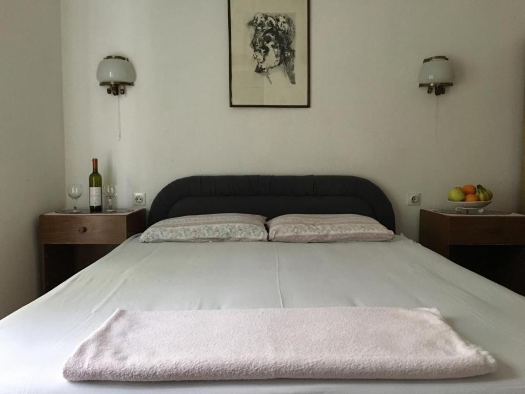 Guest House Vukovic Petrovac الغرفة الصورة